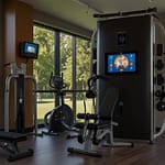 Fitness interface showing health monitoring and exercise tracking capabilities